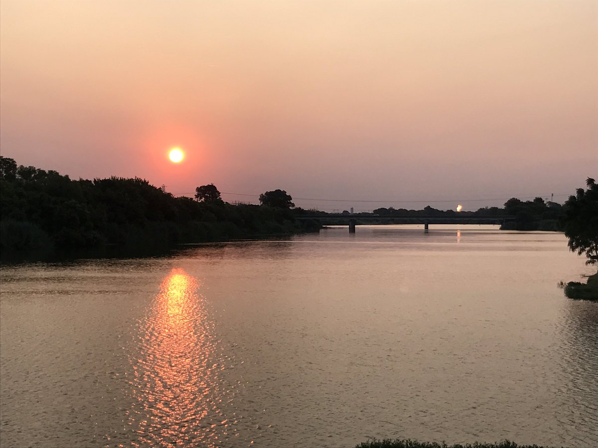 Steve Rodriguez tweet media