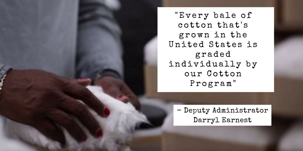 USDA_AMS's tweet photo. 100% graded means brands &amp; retailers can purchase American #cotton with confidence https://t.co/6VasoczAf1  #qualitygrades https://t.co/h0UY7Df2pr