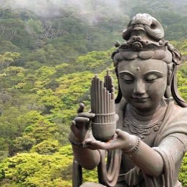 YogiJoaquin's tweet photo. #Repost @jarahtree
・・・
Did you know that when you send a prayer, or an intention, even an energetic hug or the lik… https://t.co/S3lvlShBkz https://t.co/CJhtI1niF7