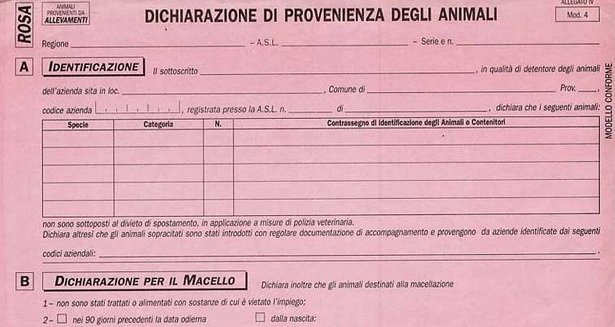 Consulenza_Agr's tweet photo. È #definitivamente in #vigore l'#obbligo di #compilazione in #formato #elettronico del #modello4. https://t.co/wM6g9CXRKY https://t.co/iW0PF4f03n