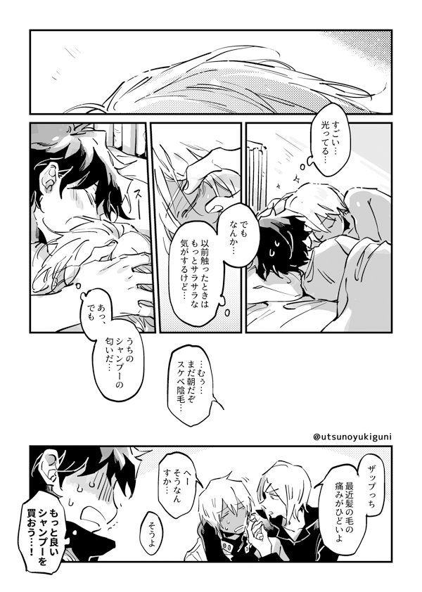 お題【髪にふれる】
1.5ページのところで付き合い始めたレオザプです!
#レオザプワンドロライ 