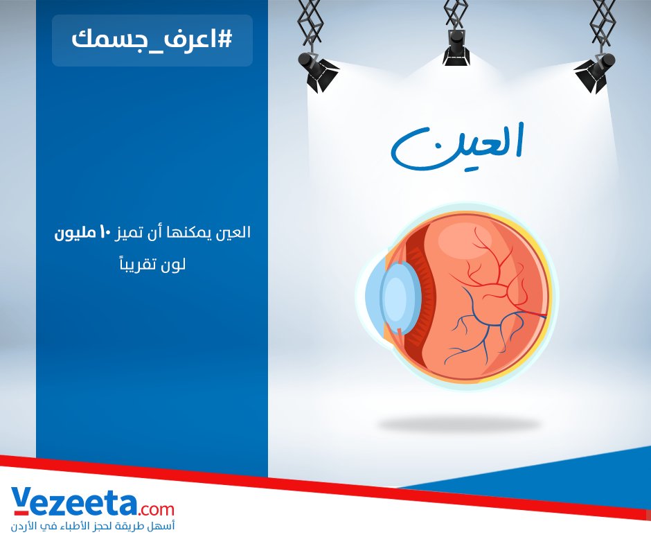 #العين ترى من خلال انعكاس الضوء على الأشياء ثم مروره من خلال #القرنية، ليصل لشبكية العين التي تحوله لنبضات كهربائية تصل للمخ فيحولها لصور