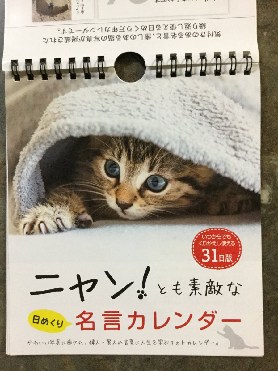 じゅに Twitterren ダイソーで見つけたカレンダー A3 横2カ月 壁掛けカレンダー このシンプルさが好き 2カ月を横一線に並べるなんてありそうでない もう一つは可愛い猫の名言カレンダー 繰り返し使える万年カレンダーです じゅに Twitterren ダイソーで見つけたカレンダー A3 横2カ月 壁掛けカレンダー このシンプルさが好き 2カ月を横一線に並べるなんてありそうでない もう一つは可愛い猫の名言カレンダー 繰り返し使える万年カレンダーです