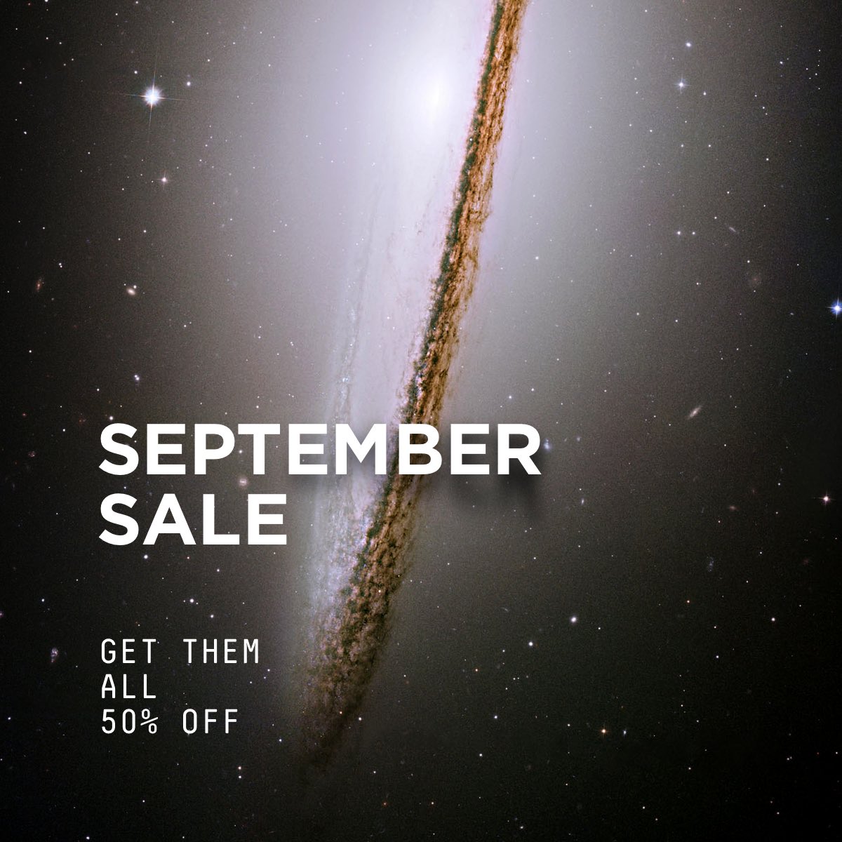 wlpprapp's tweet photo. 🔥 September Sale. 50 % off. https://t.co/bxu0ifpTMK