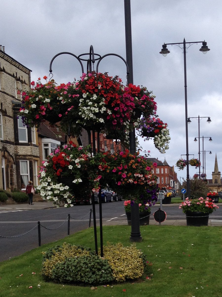 Saltburn in Bloom tweet media