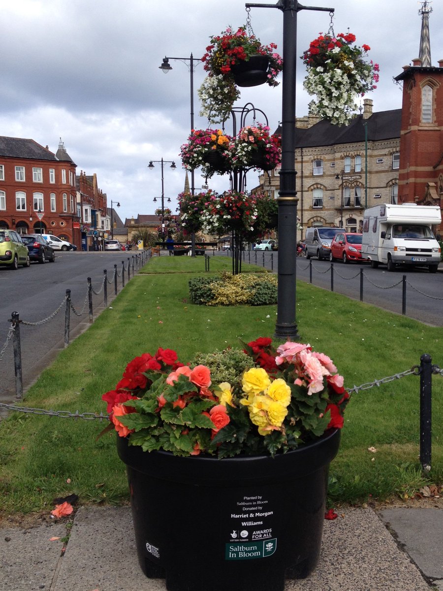 Saltburn in Bloom tweet media