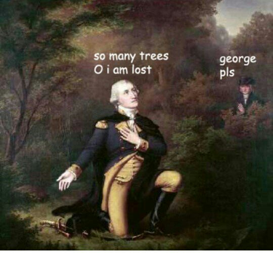 SarahKStankus's tweet photo. This week's ecology meme #MeInEcology #ExperimentalForest #ees152 https://t.co/hvijDDJRaf