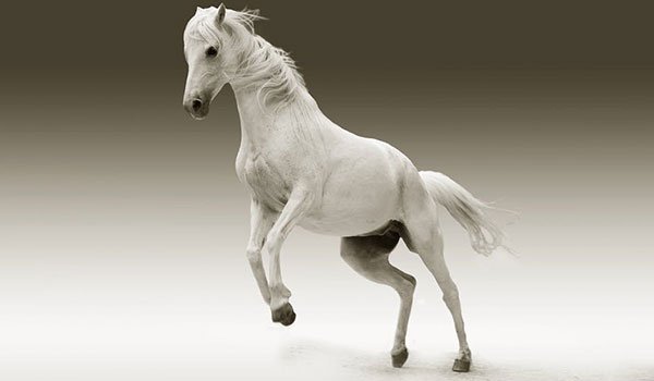 Kinetic Social tweet media