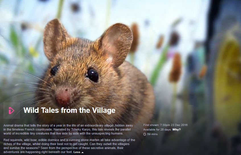 froglifers's tweet photo. Check out 'Wild Tales from the Village' on @BBCiPlayer - toads feature at 7m30 & 13mins - here: https://t.co/6xqSOY8o5l #YearoftheToad https://t.co/lt97wjUC0N