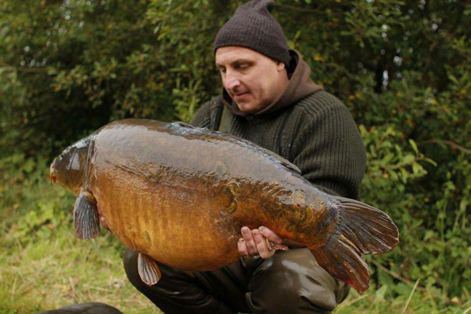 Bank Statement tweet media