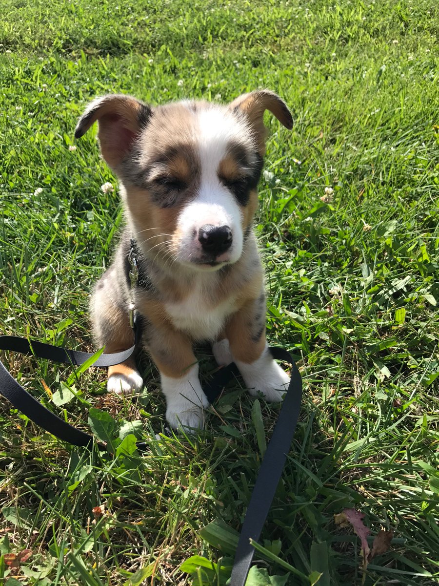 Sara Riker (@Sarar415) | Twitter