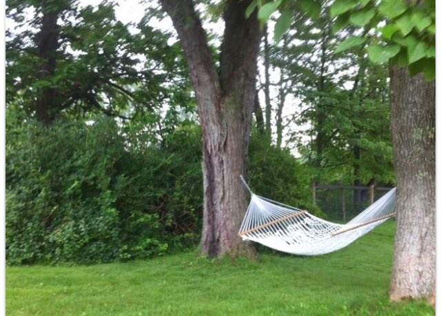 sherryrshoblom's tweet image. Goodbye to summer. Autumn is here now… in fact… it came last month!