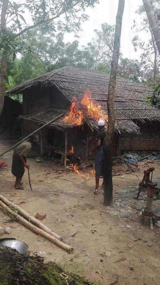 Bangali terrotrist member burn their house by themself, they are dirty and ignorant barbarions.
#SaveRakhine
