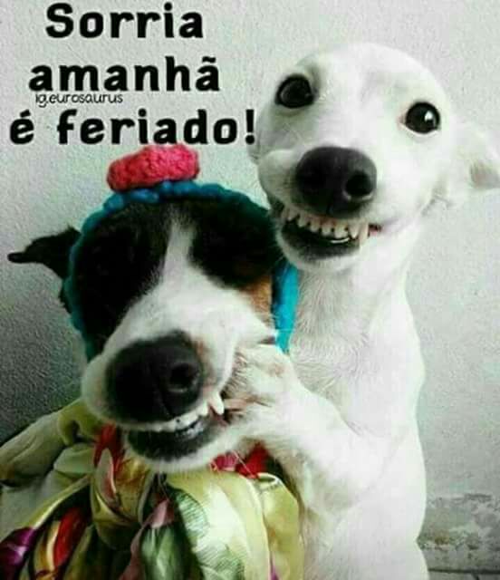 Cleiton tim Beta (@cleiton262728) on Twitter photo 