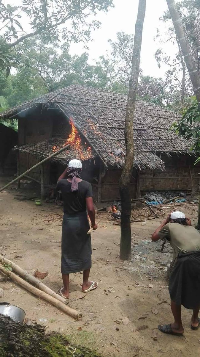 KyawSwa01654702's tweet photo. Myanmar land 'Rakhine state
Maungtaw town ship Bengalis terroristset of fire their home and they are Killing rahhines ethnic. https://t.co/EBHEeTD3Se