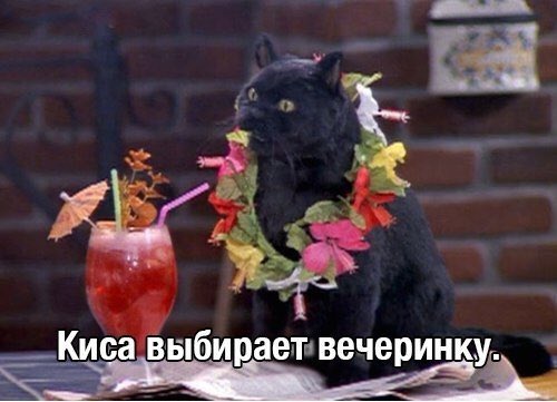 vikababachenko's tweet photo. 4 моих состояния: https://t.co/KxNsHfviES