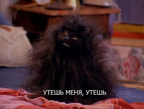 vikababachenko's tweet photo. 4 моих состояния: https://t.co/KxNsHfviES