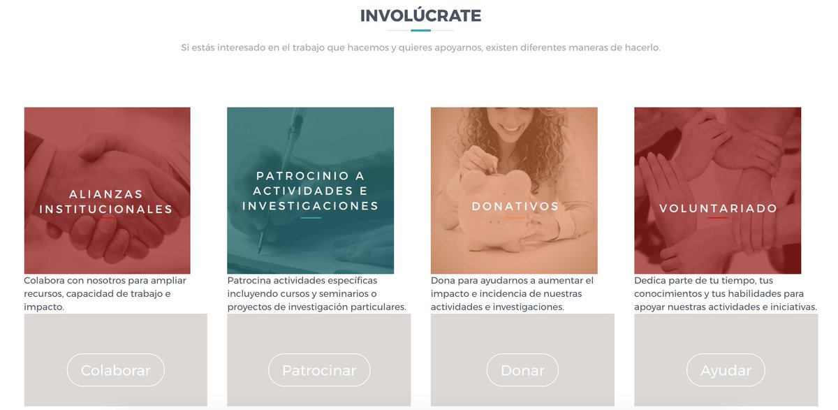 CEDH_Mx's tweet photo. Existen muchas maneras de colaborar con nosotros y apoyar nuestro trabajo, ¡entérate! 👉 https://t.co/SYpakbqCJm #DDHH #DDHHchat #Defensorxs https://t.co/sgvIJ0GJPL