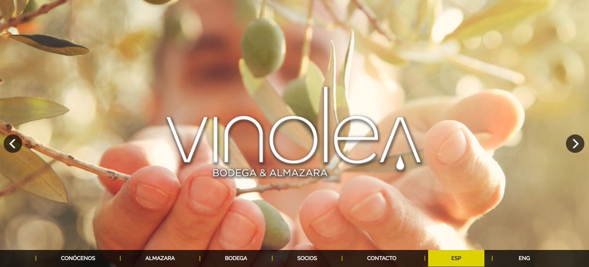 ¡Vinolea tendrá su espacio en #Expogenil17!
¡Bienvenidos!
vinolea.es/index.php/es/