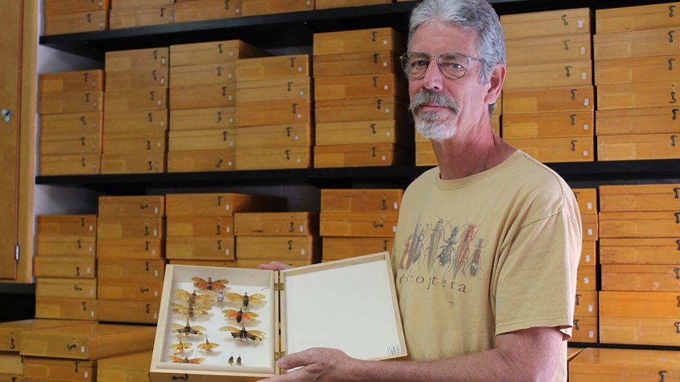 Buggin' out! <a href="/NCState/">NC State University</a>'s Insect Museum continues to grow: ncst.at/1M6Uh9 #ThinkAndDo