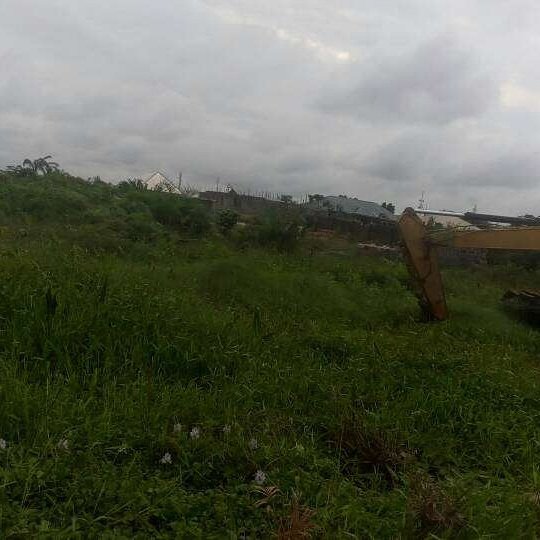 RealfarmLtd's tweet photo. #Quickgrab
#waterfront
#buy2plots_get5%off
#ThirdmainlandCourts
#22mperplot
#Negotiate
#Devonmilezitu
#08093724937
#Oya_comebuy. https://t.co/Ebk9r4KT5S