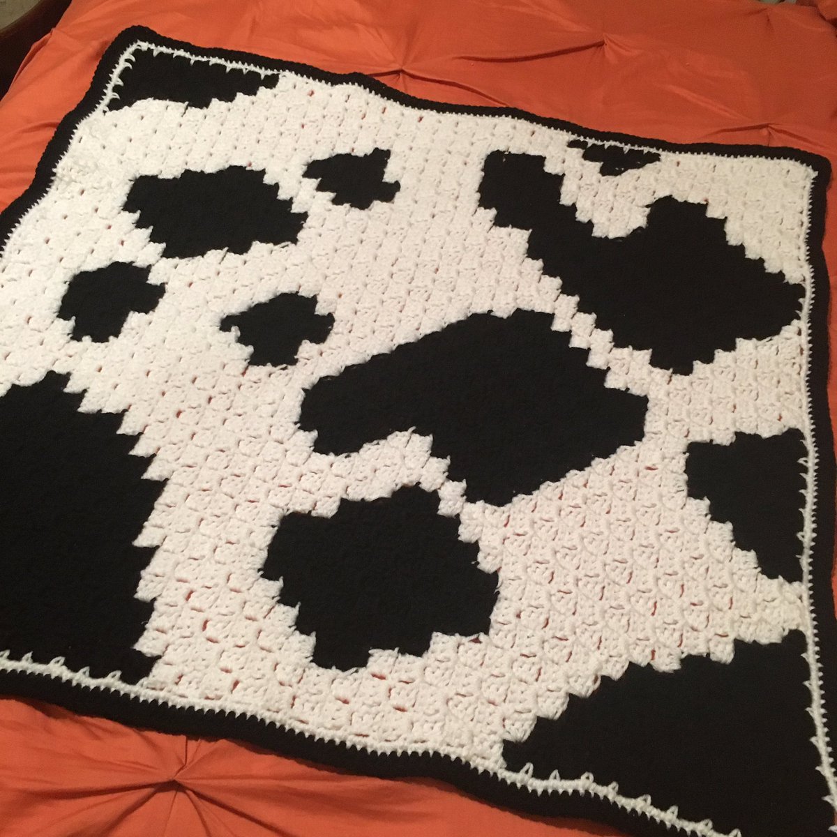 DiMeoLisa's tweet photo. Challenge complete. Wheew. #cowbaby #cowprint #crochet #firstandlast #farmthemenursery #nephew https://t.co/4fLdbl51Kz