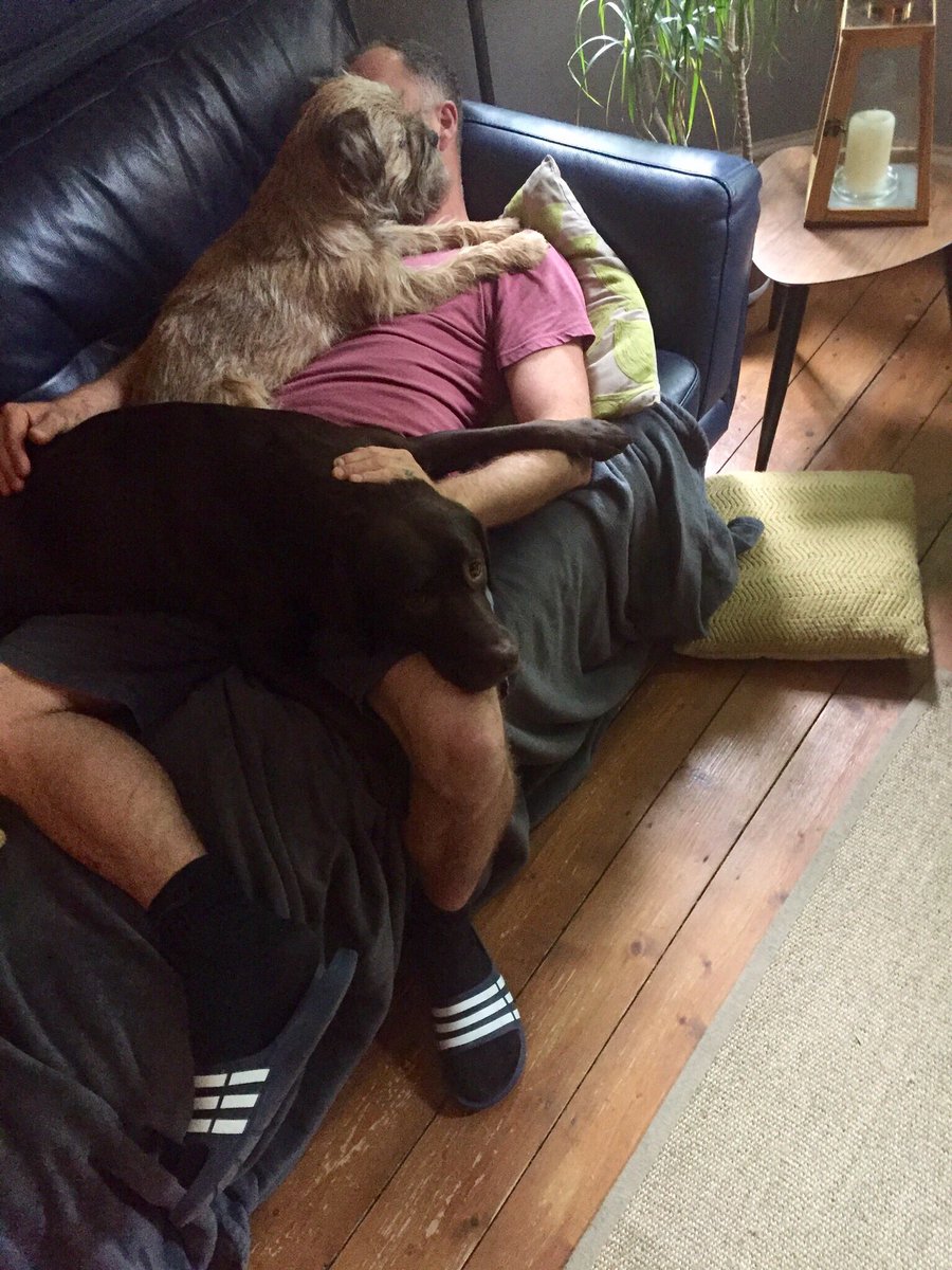 2 minute lie down. The dogs have other plans.