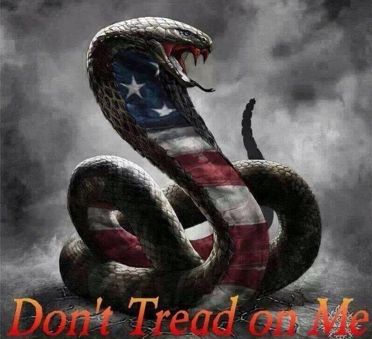 minuteman62's tweet photo. #chuckshummer and all Socialists in Senate and Congress Now Represent a Clear and Present Danger To The US! Almost as bad as ISIS! https://t.co/SvnXurRU2p