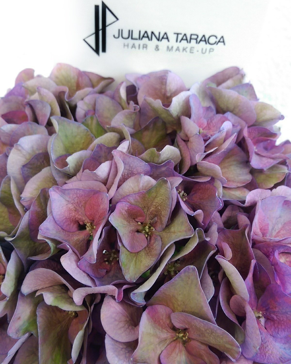 Juliana Taraca Hair Make Up On Twitter Hydrangea Followers Nofilter Hairandmakeup Studio Aarau Switzerland Julianataraca Hair Make Up Appointment Info Julianataraca Ch Https T Co Yqntjwas4y