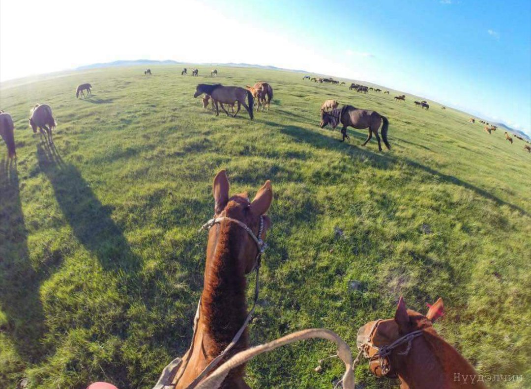 Ширхэг чулуу, хээрийн өвс нь ч эх орны минь эрдэнэ.🙏🇲🇳️
#Бодол_нэмье
