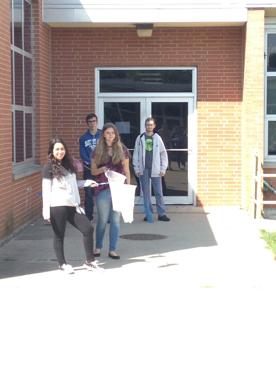 ryberg141's tweet photo. Environmental Science students had a GORGEOUS day to collect insects! Now to ID them tomorrow! 👍 https://t.co/9vyktRKowI