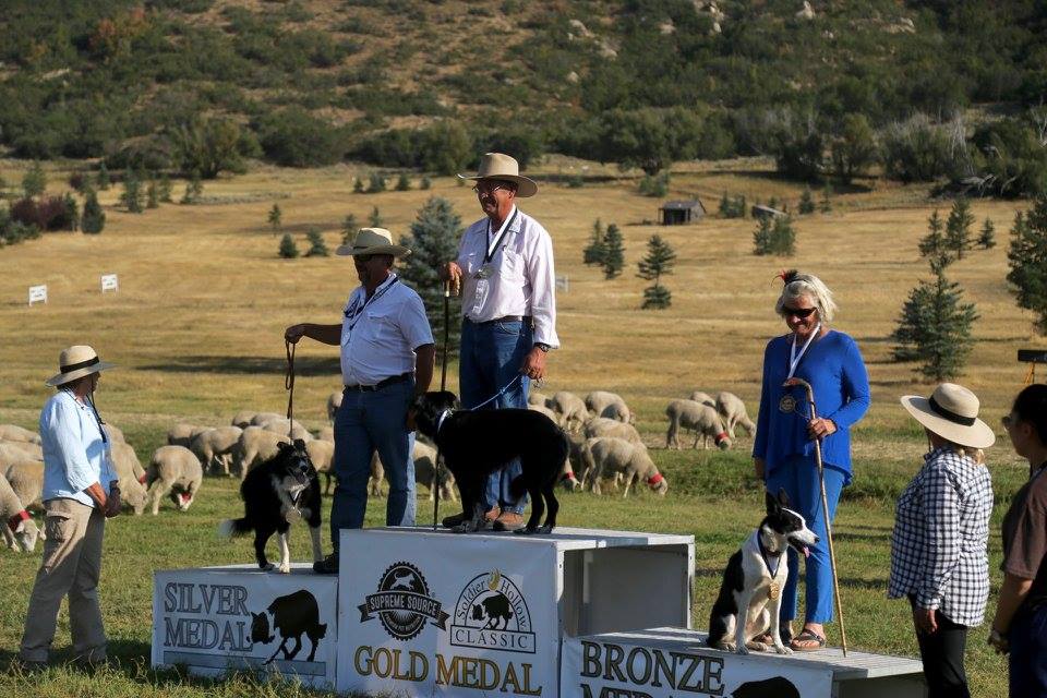 Gold: Dennis Gellings and Tess 151
Silver: Ron Enzeroth and Mick 141
Bronze: Amanda Milliken and Dorey 141
#soldierhollowclassic