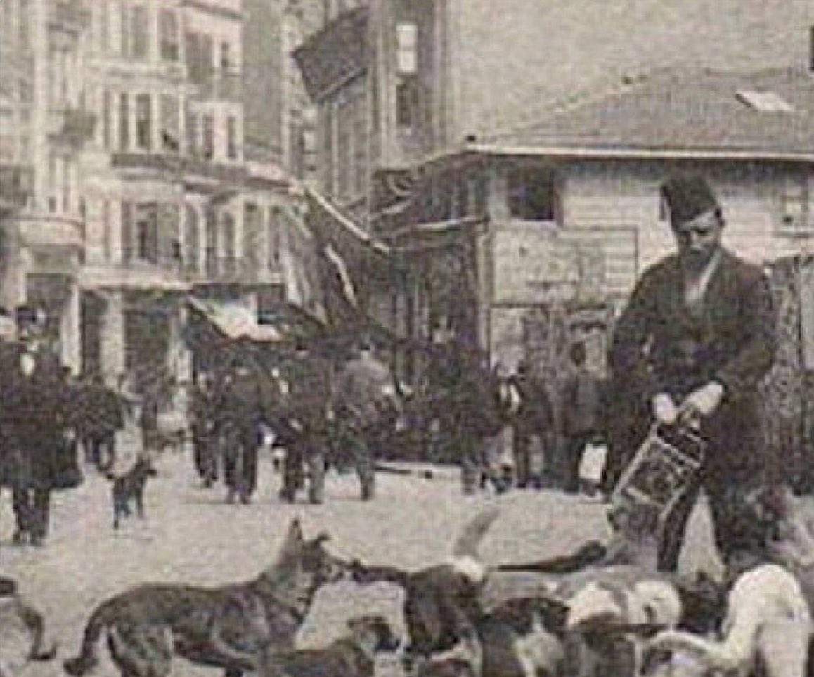 Osmanlı'da halk sokak hayvanlarını beslemesi için 'mancacı' denilen kişilere para verirdi. Onlar da düzenli olarak hayvanları beslerdi.