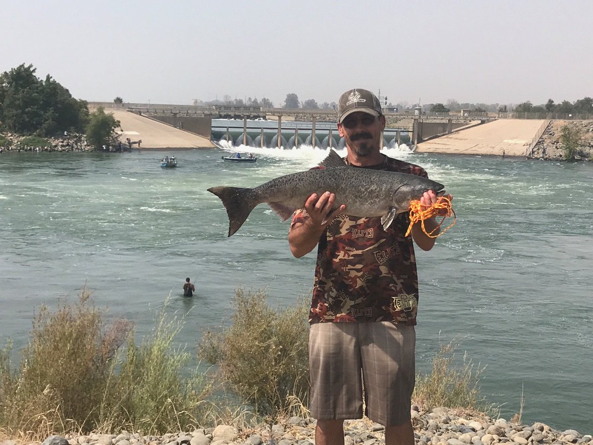 rpoololdschool's tweet photo. Once upon a time there was a man his fish and a smoker!  @GoodDaySac @TVcody @TheRoxieWay @GoodDayKenR https://t.co/d8idgPHAc1