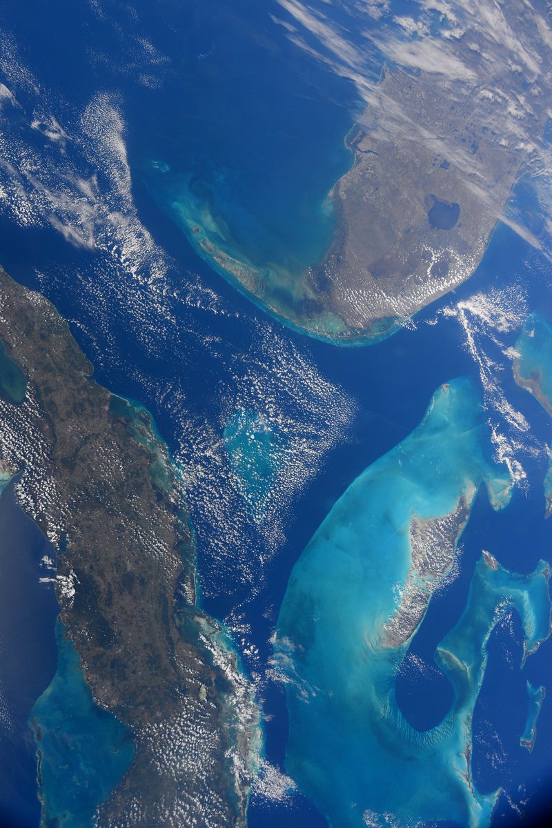 AstroTerry's tweet image. A mis amigo en el Caribe, cuídense mucho, y que todo salga bien con el paso de Irma.  Be safe from Irma folks, this is a deadly storm. #Irma