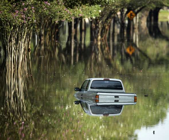 View image on Twitter