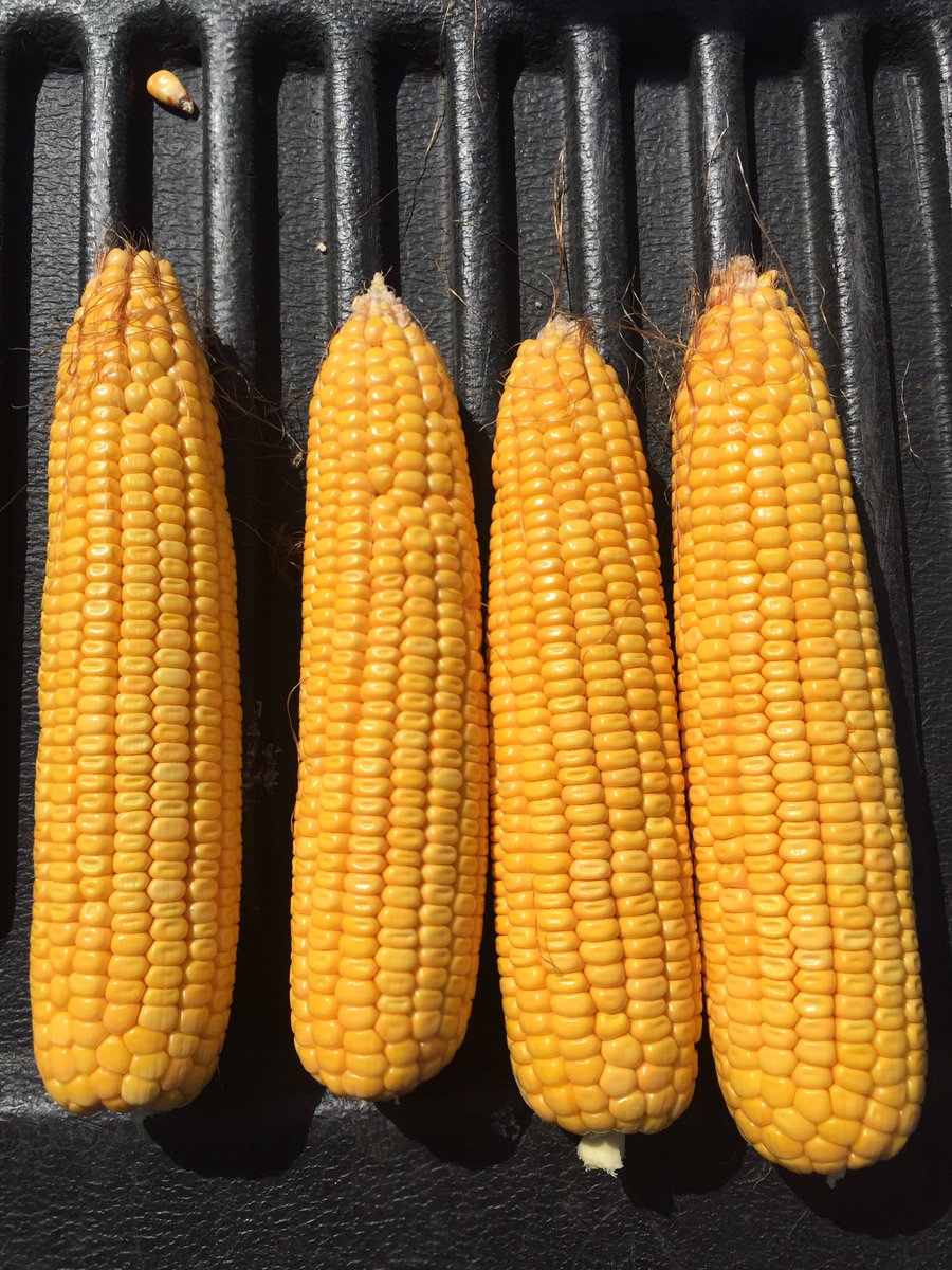 P1197AM east of Granville. Looks good!