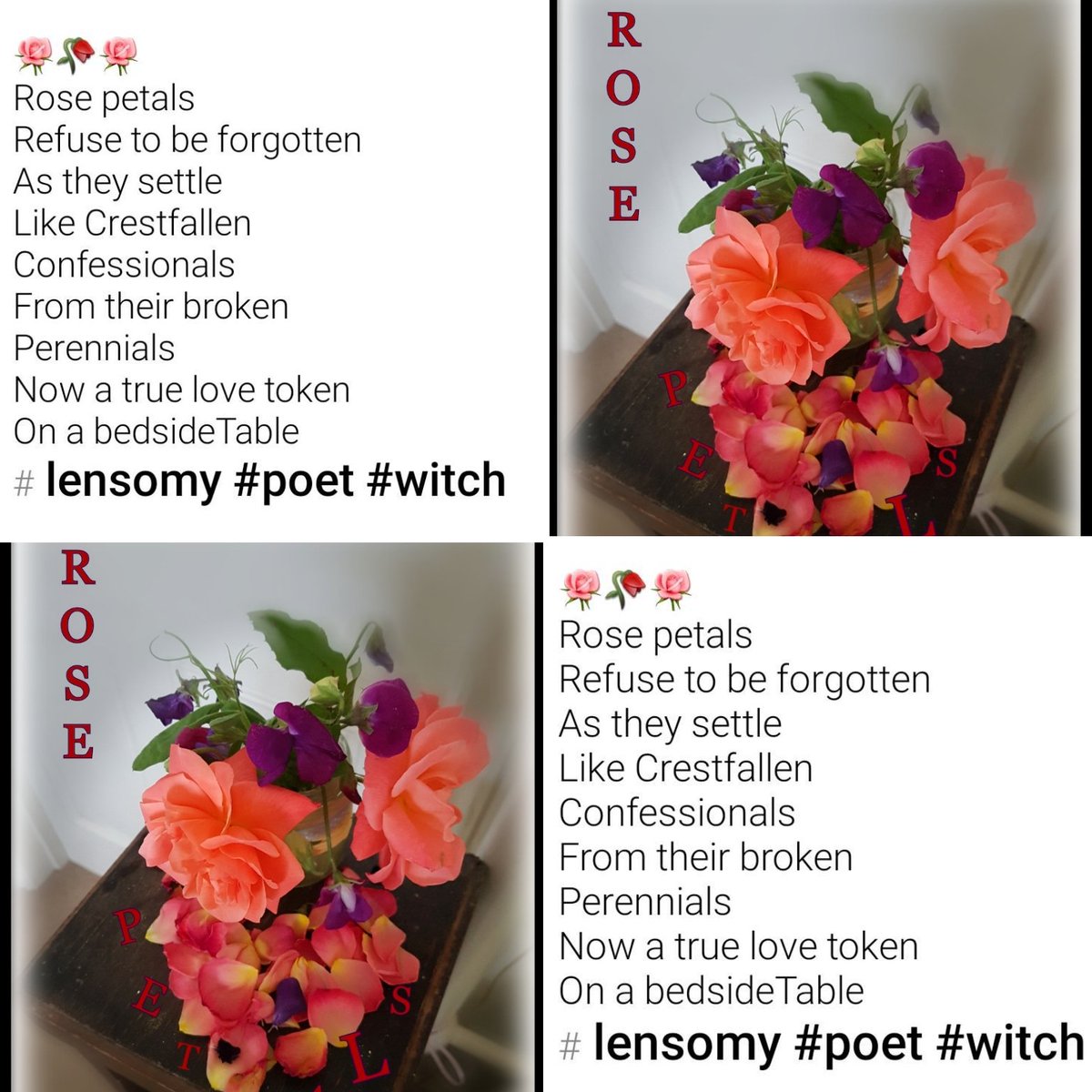 Lensomy tweet media