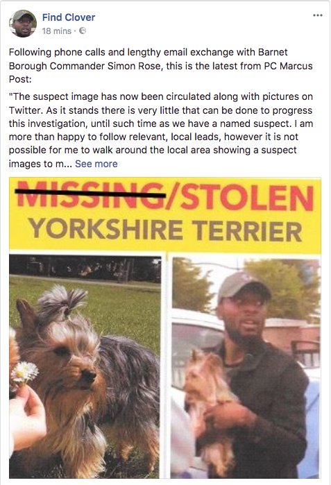 Find Clover (@findclovern11) on Twitter photo Update facebook.com/FindCloverN11 🙏
#FindClover
@MPSMuswellHill <a href="/MPSBarnet/">Barnet MPS | North West BCU</a> <a href="/HunnyJax/">Stolen Missing Longtimelost 🐾Where Are They All</a>
@FINDMISSINGDOGS Update facebook.com/FindCloverN11 🙏
#FindClover
@MPSMuswellHill <a href="/MPSBarnet/">Barnet MPS | North West BCU</a> <a href="/HunnyJax/">Stolen Missing Longtimelost 🐾Where Are They All</a>
@FINDMISSINGDOGS
