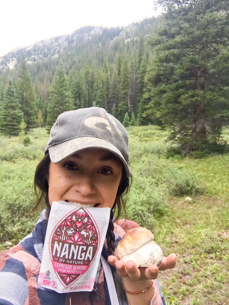 Mushroom 🍄 hunting with Nanga :) #Colorado #Porcini