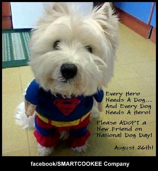 PetHealhcare's tweet photo. (#dogs #smartcookee #NDD ##NationalDogDay August 26th...) - https://t.co/s7mO1qoB4h - - - #DogDayImages #DogLover #Puppy #PuppyLove - ... https://t.co/3gmQY8oBeV