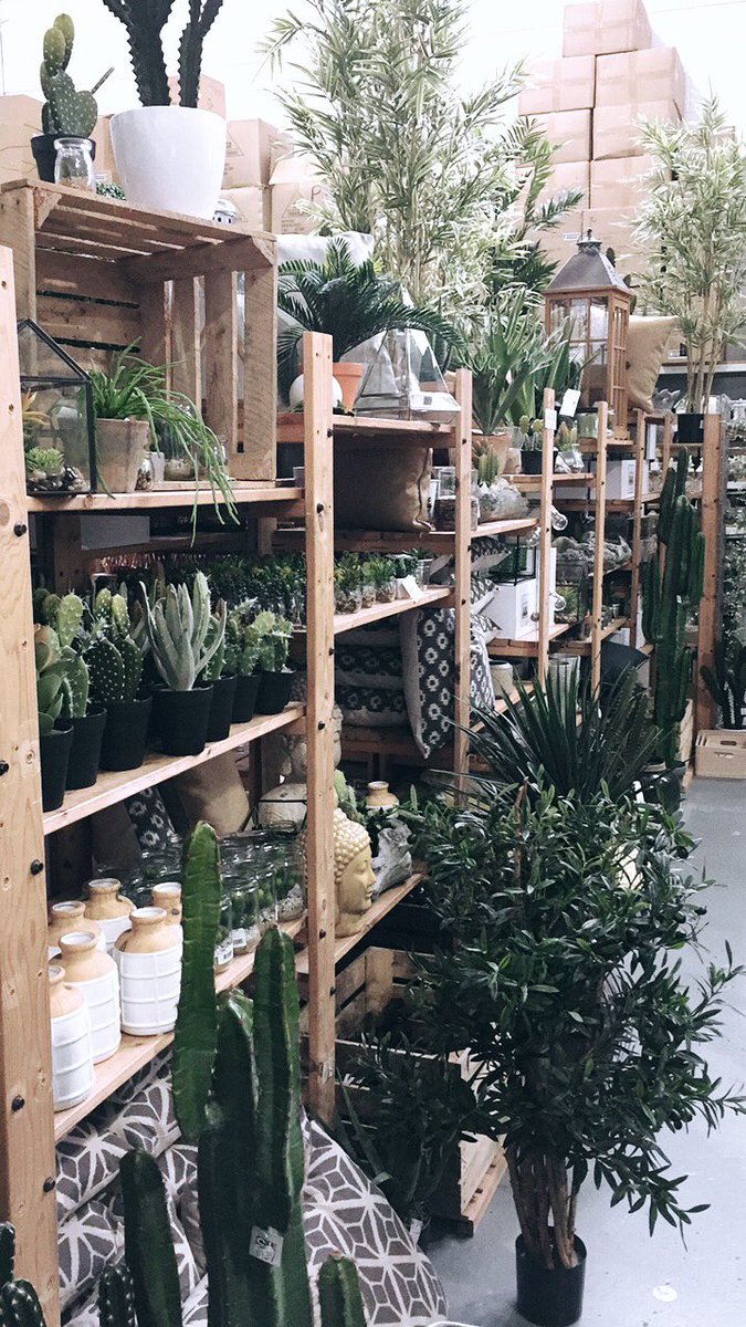 Preparations for <a href="/TopDrawerLondon/">Top Drawer</a> in full swing 👍🏻🌿🌱 getting excited for setting up on Saturday 🙋🏻 #TopDrawerAW17 #plants #makersgonnamake