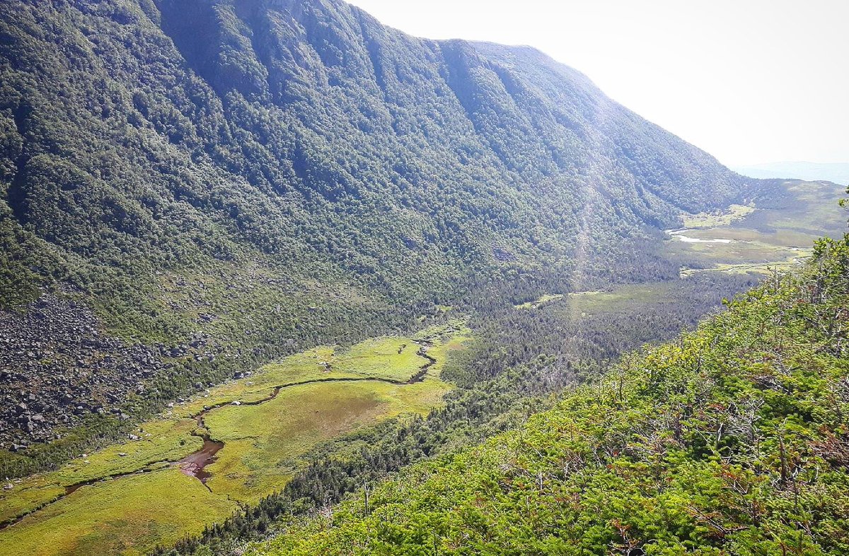GeoMorphix's tweet photo. Scenic views from Gros Morne Mountain overlooking a stream before making its way to the Gulf of St. Lawrence. 🏞
#watercoursewednesday https://t.co/usxneHfTAl