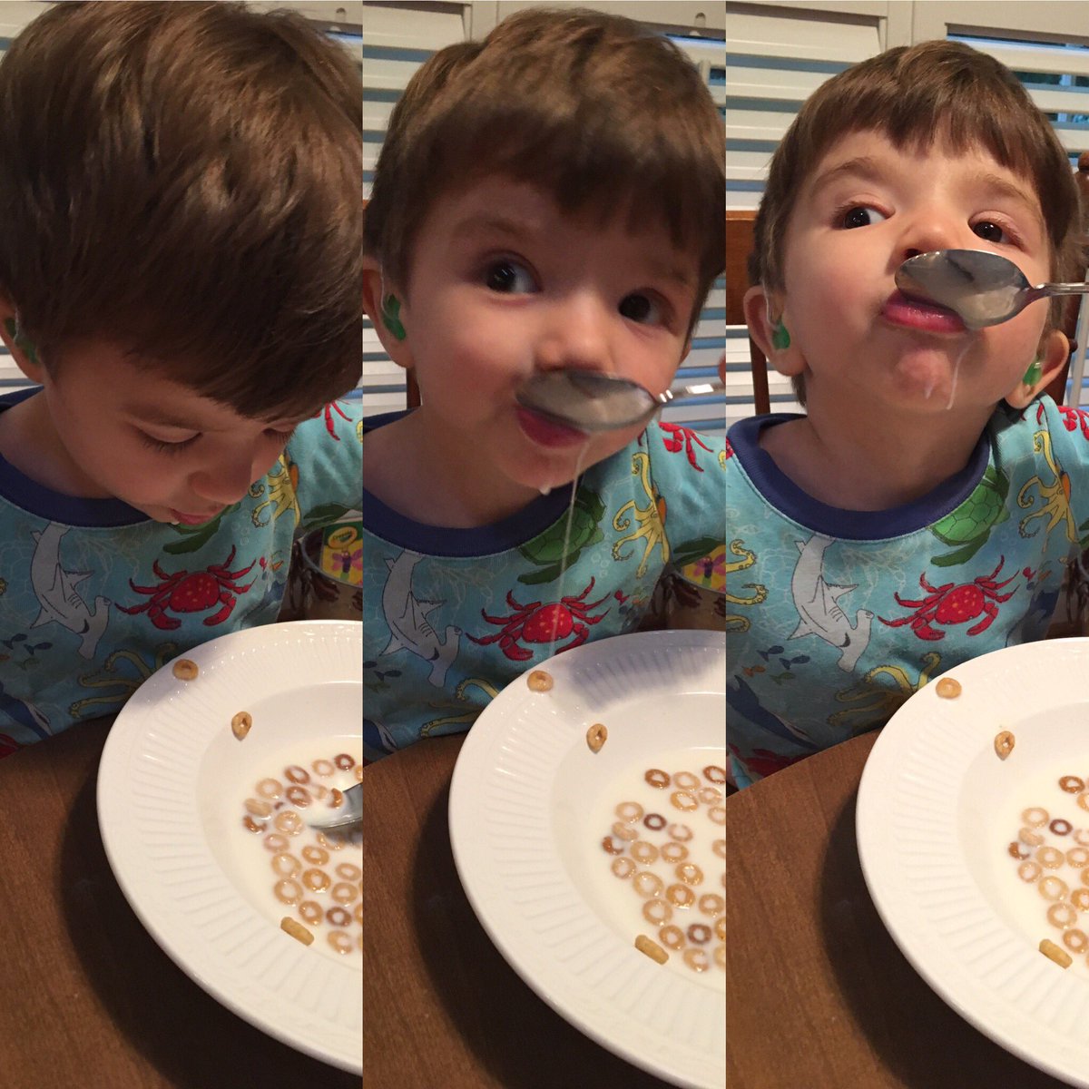 PrayForWhit's tweet photo. Shhh...don't tell Sissy... this is what happened to her cereal this morning after she left the table #whitwhit #proudtobehismom #prayforwhit https://t.co/eQB87jbJj2