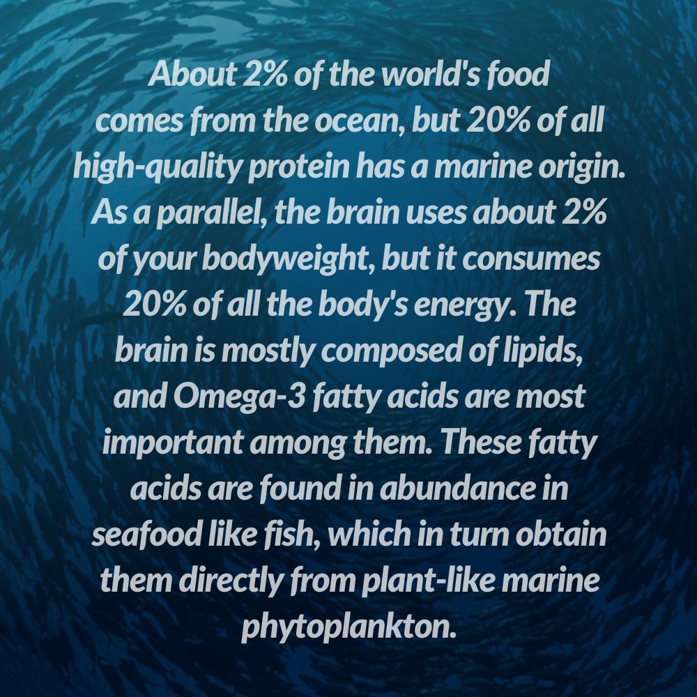 oceanseeding's tweet photo. Your #brain is connected to the #ocean in more ways than you think. #Omega3 #seafood #health #marine #medicine #plankton #scicomm https://t.co/IhugtQ5fiU