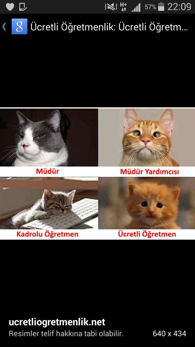 SenyuzHalime's tweet photo. #CbDenMüjde40BinÖgrt https://t.co/fknsKx9hxp