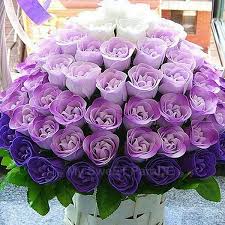BeHappy_Dz's tweet photo. •
وصلتك باقه ورد ورساله💐💌:

" صديقتي حتى تتجعد الأيدي ويغزينا الشيب سأبقى بقربك دائماً ، آحبك جدا دمتي لي اخت ورفيقه اعتز بها"
@WW44293026 https://t.co/6jjQCMpRyn