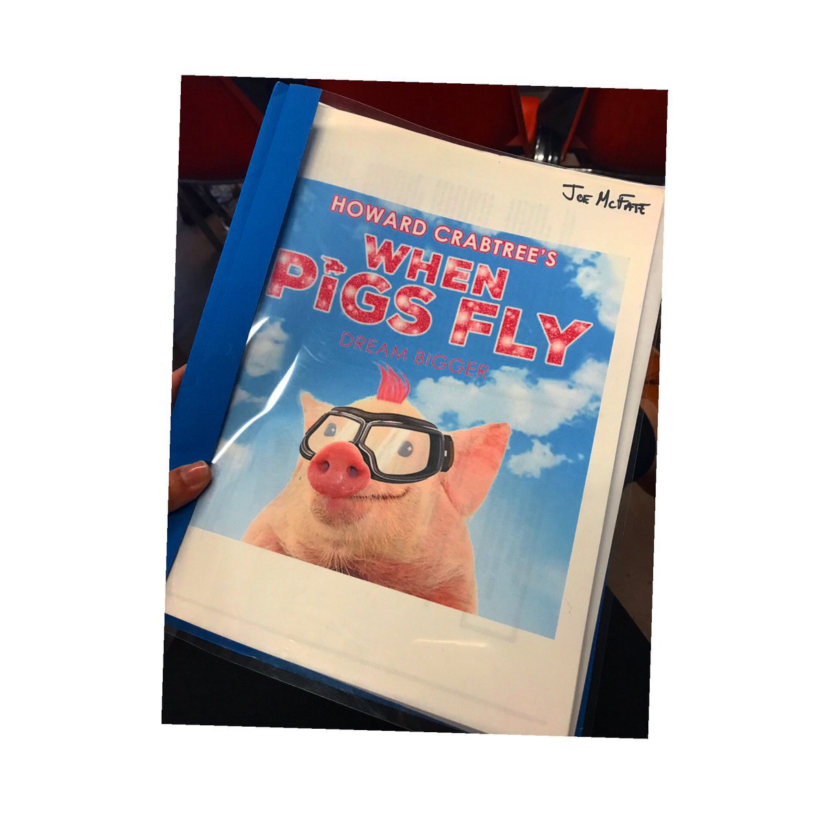 What if Pigs Can Fly?' Books -, image size:1200x1200