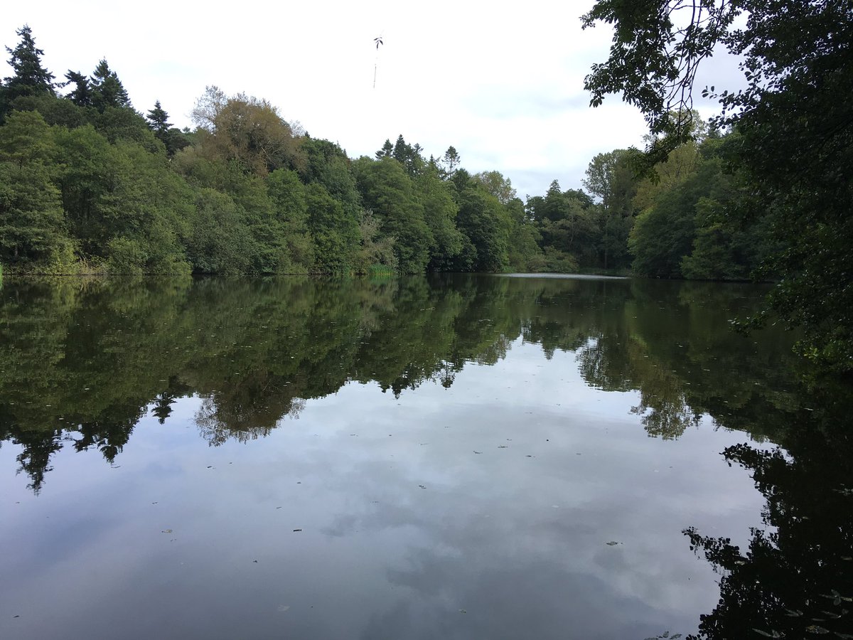 A day at @NTDudmaston with @NT_WaterMark - catchment issues, lake management, river restoration and NFM opportunities