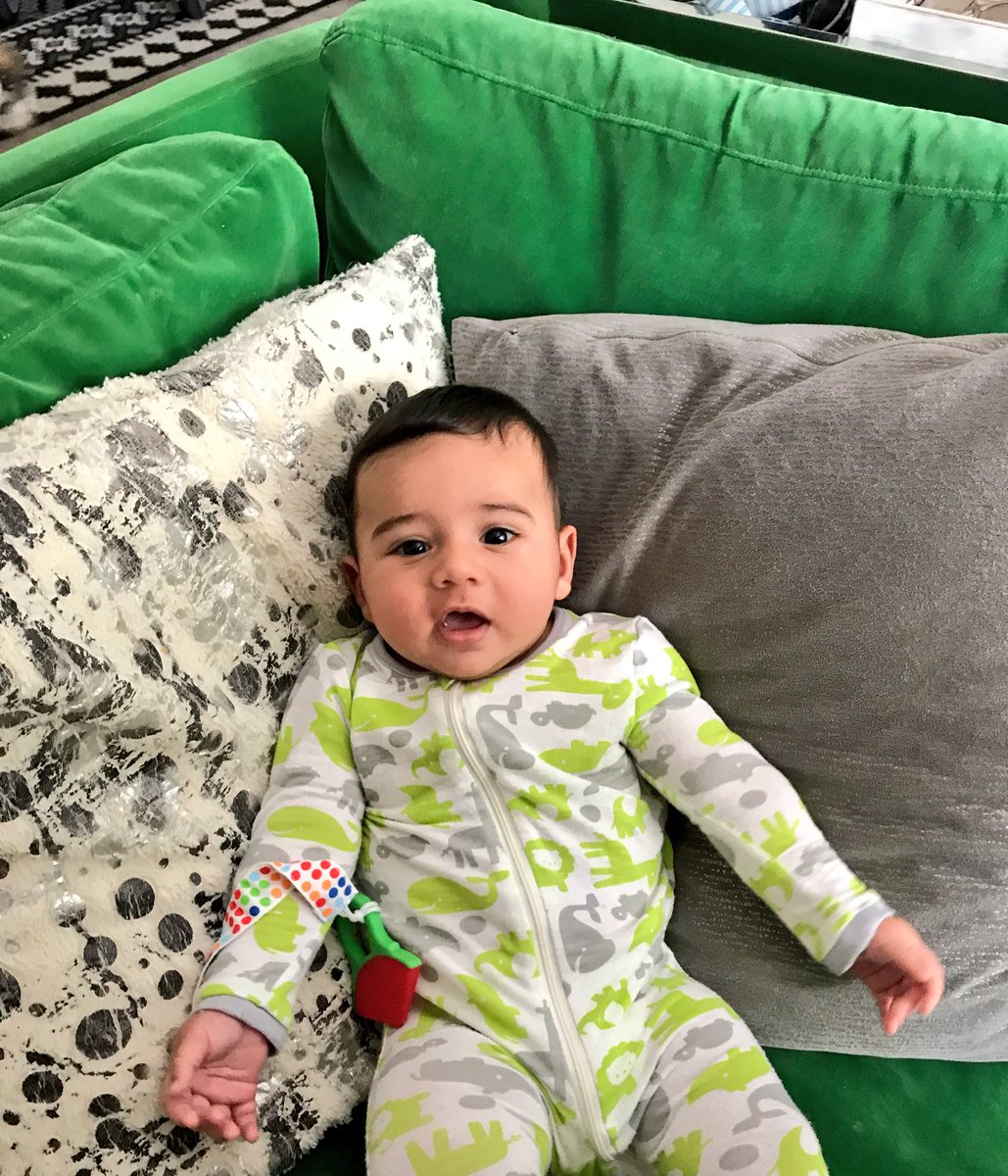 WeeBabyTall's tweet photo. Imma diggin' just chillin' on @alexzandraSF fancy AF luxe green velvet sofa #FingersCrossedNoSpitUp https://t.co/44nwsFClY4